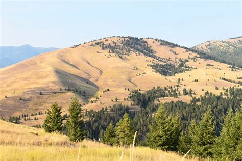 12 Best Hiking Trails Near Missoula Mt Planetware