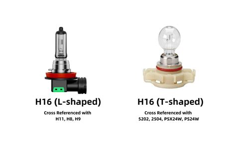 H H H H Bulbs The Differences Similarities Off