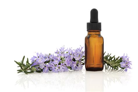 The Powerful Healing Qualities Of Rosemary Essential Oil The Sleuth Journal