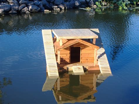 Custom Floating Duckhouse