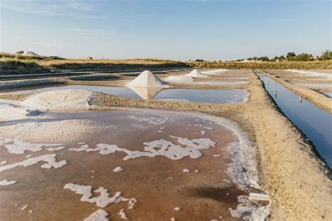 Visiter Marais Salant Les Boucheaux Beauvoir Sur Mer