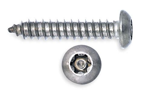 Tamper Resistant Screw Pk 50 Grainger