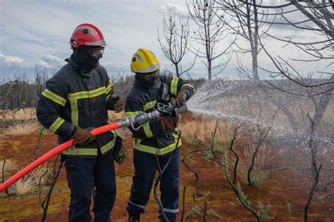 Campénéac Un Incendie Se Déclare à Proximité De La Forêt De Brocéliande