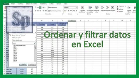 Cómo filtrar en Excel Haras Dadinco