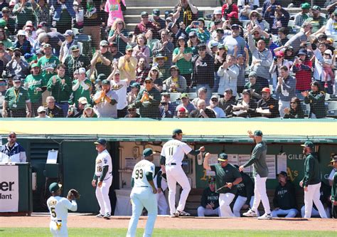 大谷翔平vs藤浪晋太郎 第2打席で左越え適時打 藤浪は8失点初黒星 メジャー初対決／詳細 Mlbライブ速報写真ニュース 日刊スポーツ