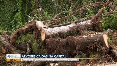 Bom Dia Rio Grande Um mês e meio após temporal ruas de Porto Alegre