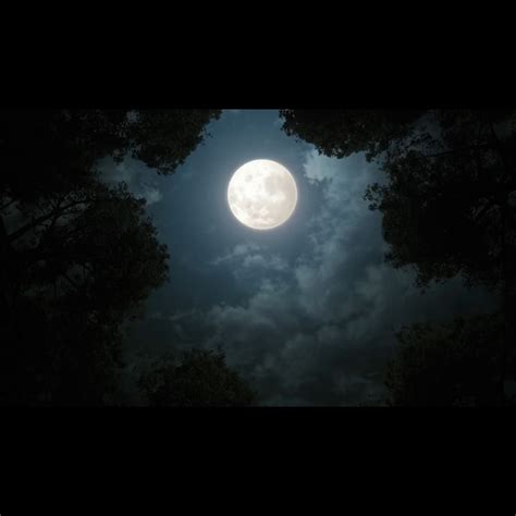صور داكنه – لاينز