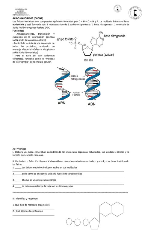 Guía las biomoleculas PDF