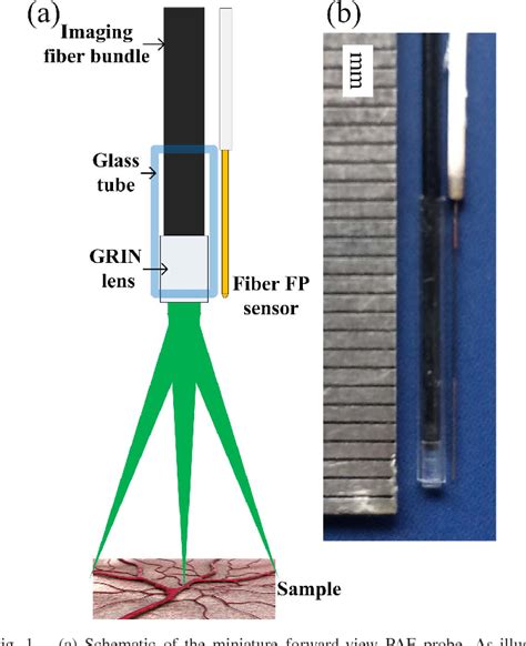 Figure From Miniature Probe For Forward View Wide Field Optical