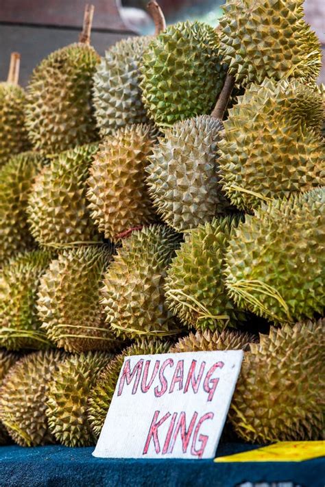 Closeup Musang King Durian At A Fruit Stall In Malaysia Stock Image