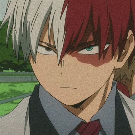 Shoto Pfp Aesthetic