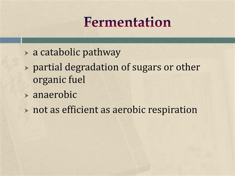 Ppt Cellular Respiration And Fermentation Powerpoint Presentation Id