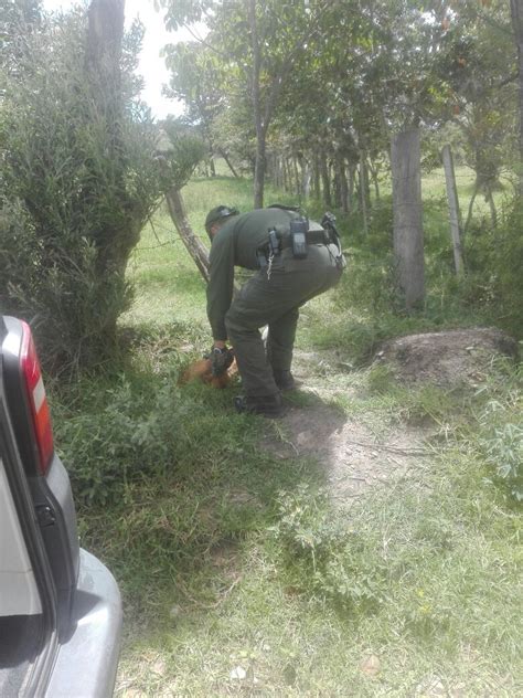 Salvamos A Un Canino Que Había Sido Envenenado Policía Nacional De