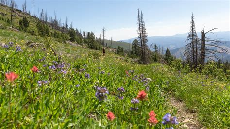 Green Canyon Hot Springs - Visit Idaho