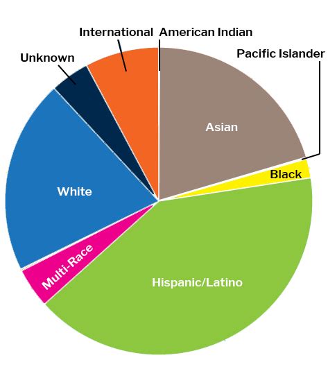 United States Population By Race Pie Chart Keski