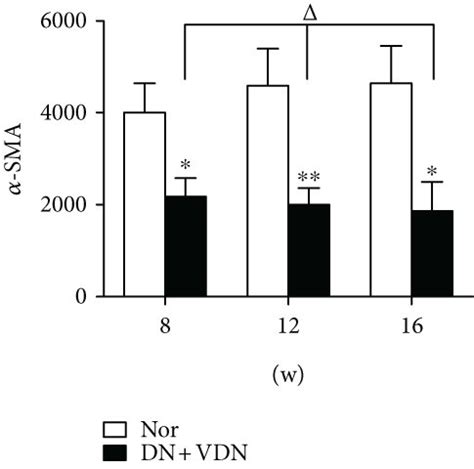 Detection of α SMA and Runx2 levels by immunohistochemical analysis