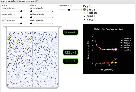 Diffusion And Osmosis Simulation