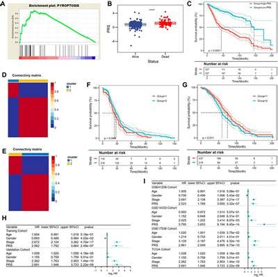 Frontiers Identification Pyroptosis Related Gene Signature To Predict