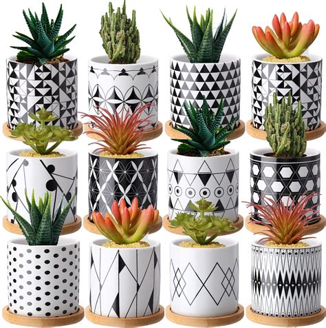 Amazon SEEWEY 12 Pcs Inspirational Succulent Pots Gifts Sometimes