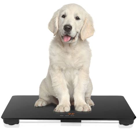 Buy Mindpet Med Pet Scale For Large Dog Veterinary Scale With Non Slip