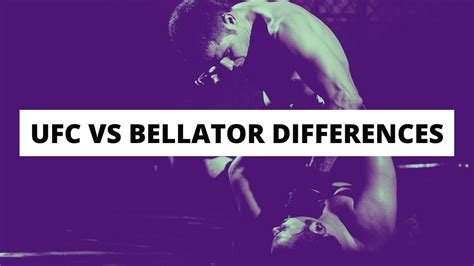 UFC Vs Bellator 5 Key Differences Explained MMA Hive