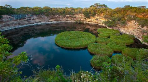 Reserva De La Biosfera El Cielo Ed N Tamaulipeco Travel Report