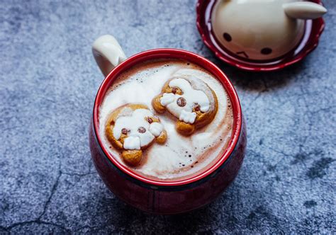 Mitte Hot Chocolate Pack Korean Instant Hot Choco Original With Cute Sloth Marshmallows Chue