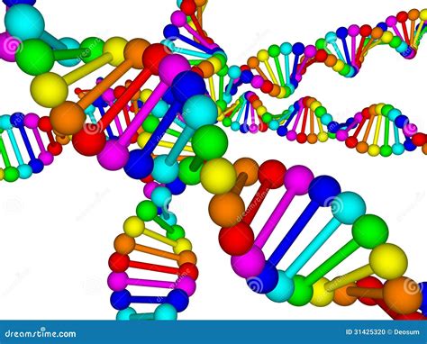 Dna Del Arco Iris ácido Desoxirribonucléico En El Fondo Blanco Stock