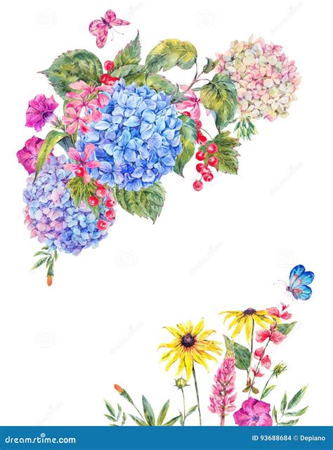 Cartão Floral Da Aquarela Hortênsia Ilustração Stock Ilustração