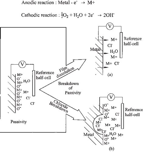 Two Principles Of Breakdown Of Passivity A Metal Undergoes General