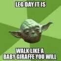 Hilarious Leg Day Memes For When You Re Sore And Feel Like Dying