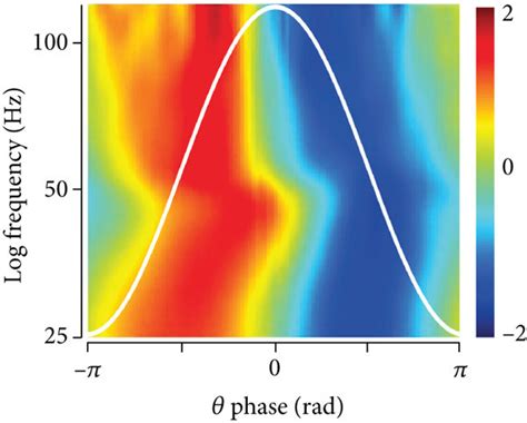 To Phase Amplitude Coupling Pac Analysis Process A Filtered