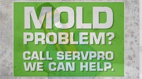 Mold Remediation The Servpro Way Youtube