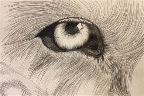 contrast   eye  shadow  rabby  deviantart