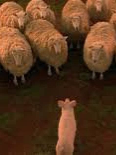 Babe El Cerdito Valiente