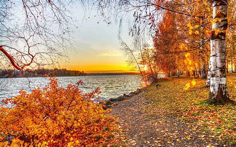 HD wallpaper: water, fall, red leaves, river, birch | Wallpaper Flare