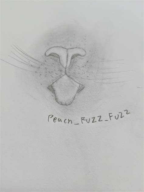 I made a realistic cat mouth : r/furry