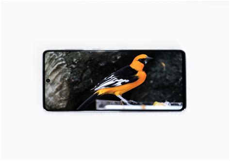 Samsung Galaxy A73 5G: смартфон для игр и съемки в 4К — Журнал Ситилинк