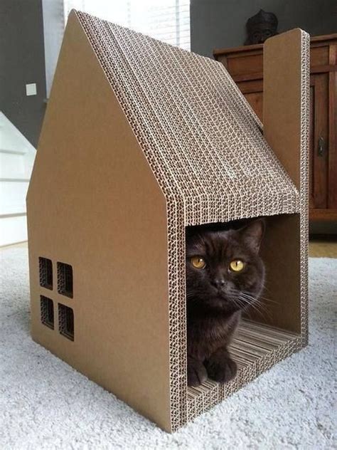 Ideas con cajas de cartón la casita para tus gatos Juguetes para