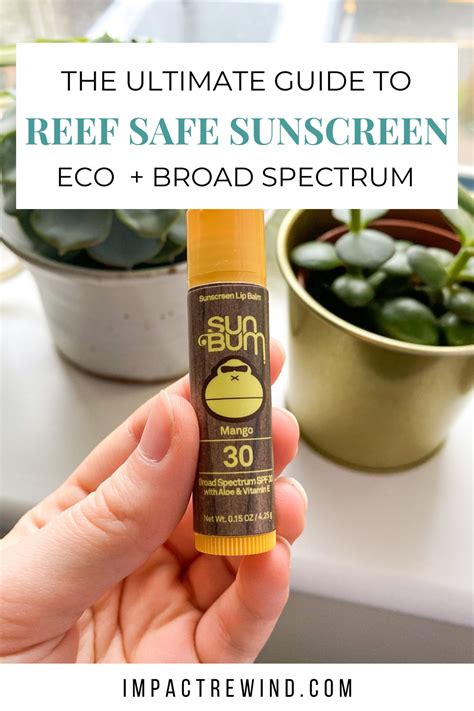 Eco friendly sunscreen: A guide to sustainable and reef safe sunscreens - Impact // Rewind