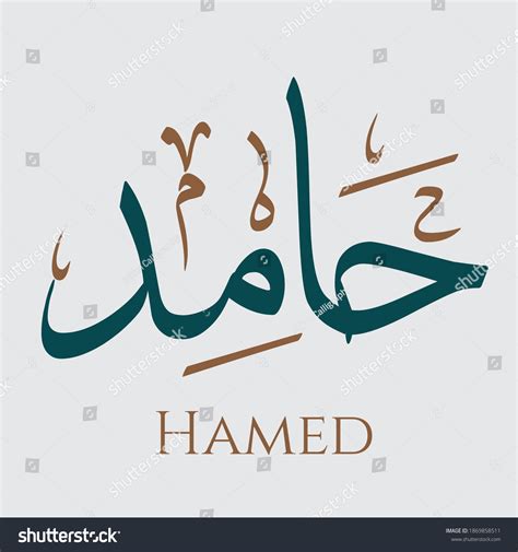 Creative Arabic Calligraphy Hamed Arabic Name Stock Vector (Royalty ...