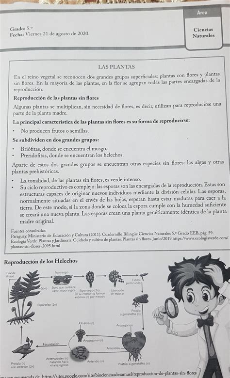 1 Entresaco del texto leído 4 palabras que no comprendo y busco su