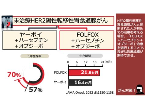 日本がん対策図鑑 【トリプルネガティブ乳がん（日本人）：術前治療（pcr）】「テセントリク＋化学療法」vs「化学療法」