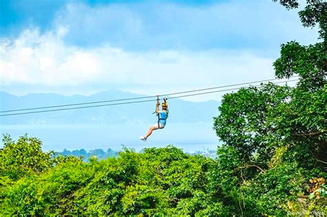 Zip Line Mountain Adventure (8 Cables) - Samui Charm Travel