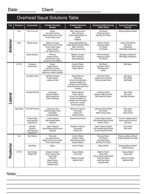 Overhead Squat Assessment Chart Fill Online Printable Fillable