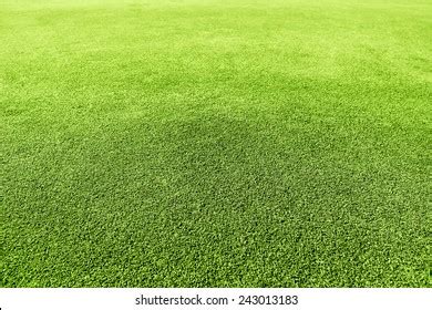 Golf Green Grass Texture Closeup Stock Photo 243013183 | Shutterstock