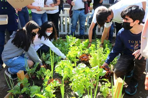 La huerta escolar como modelo pedagógico Aptus Noticias de