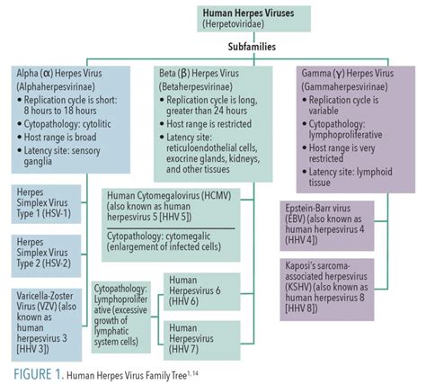 Preventing the Spread of Herpes Simplex Type 1 - Dimensions of Dental ...