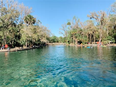 The Top 15 Springs Near Orlando You Have to See - CS Ginger Travel