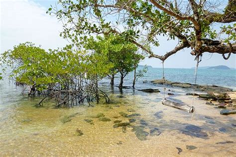 Playas De Camboya Que No Deber As Perderte Lonely Planet Beach